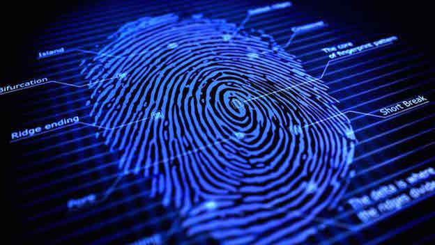 biometrics-seguridad-01.jpg