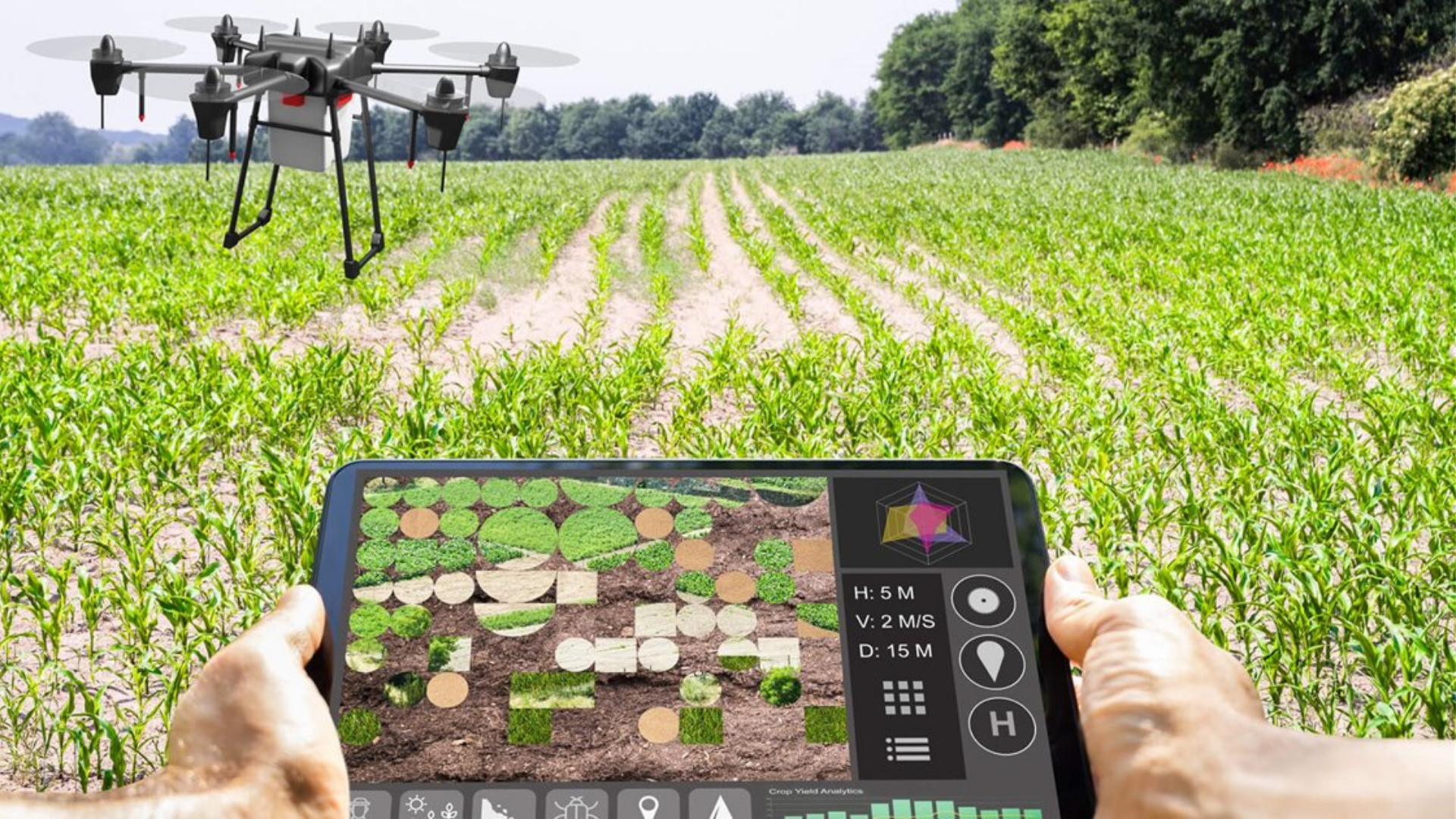 agricultura-digital.png